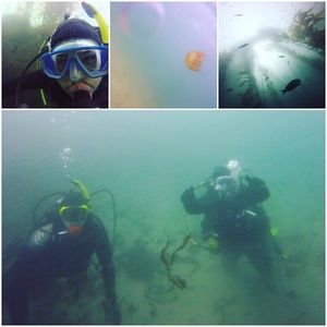 Meet your Posher, Margaret